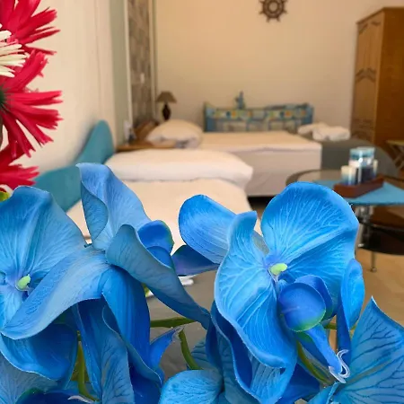 Sunray Guest House, Private & With Lovely Sea View Varna